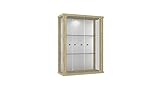 K-Möbel Wandvitrine (80x60x25cm) - Made in Germany - Glasvitrine...