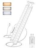 Goodea Ultra Dünne Unterbauleuchte Küche LED Dimmbar, 2x30cm 400lm...