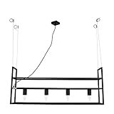 Licht-Erlebnisse Pendelleuchte Schwarz Hängeregal Metall Stahl...