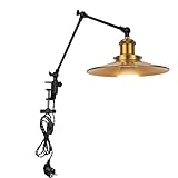 FSLiving Industrial Klemmleuchte mit 2,5 Schalterkabel, Einstellbar...