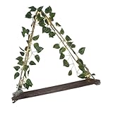 Ciieeo Wandmontiertes Holzregal Mit LED Beleuchtung Und Kunstpflanzen...