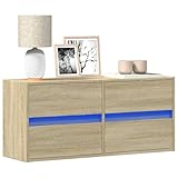 HETFTJN TV Lowboard Sonoma Eiche 100x31x45 cm mit RGB LED Beleuchtung...