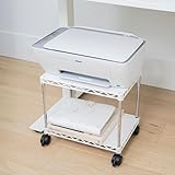 ZBRANDS Druckertisch mit Rollen – Druckerständer – Rollbarer...