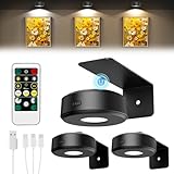 Lightbiz Bilderleuchte Kabellos, Bildbeleuchtung Akku mit...