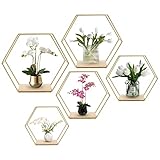 Hexagon Wandregal Metall 5er Set, Gold Deko Hängeregal Loft...
