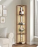 GOEBLESON Stehlampe Wohnzimmer mit Regal, Dimmbare Stehleuchte aus...