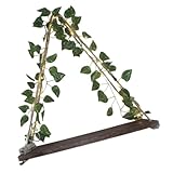 Amosfun LED Wandregal Für Pflanzen Hängendes Holzregal Mit...