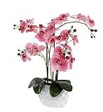 DARO DEKO Kunst-Pflanze Orchidee ovaler Topf weiß Hochglanz und rosa...