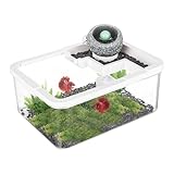 Kleines Aquarium | leises Becken für Wohnzimmer | alte Becken mit...