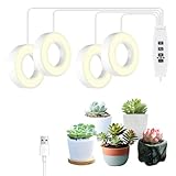 Pflanzenlampen – Lampe mit vier Köpfen mit Lichtschnur und Timer |...