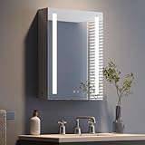 Dripex Spiegelschrank Bad mit Beleuchtung, 45 x 60 cm LED...