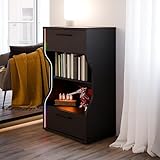 Forte Pittsfield Kommode Regal Schwarz mit mehrfarbiger RGB-LED...