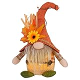 Sghtil Plüschtier mit LED-Beleuchtung für Thanksgiving, saisonale...