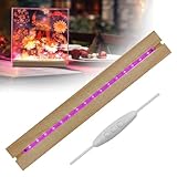 luolety Rechteckige LED-Lichter, 30 cm, beleuchteter...