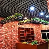 Whnoorher Schwebende Pflanzregale zur Deckenmontage, hängende...