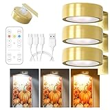 Winwj 3 Stück Bildbeleuchtung Kabellos, Aufladbar Bilderleuchte...