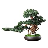 Simulation Topfpflanzen Bonsai-Baum Simulation Pflanze Bonsai...