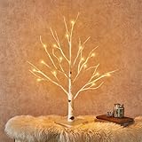 ChaneeHann LED Baum Lichter, Baum Licht mit 24 Warmweiß LEDs, Birke...