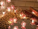 Kellegour Lichterkette Kirschblüten Deko,3M 30 LEDs Lichterkette...