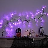 Aolyty LED Rattan String Fairy Light, Halloween Decorative Vine Lamp,...