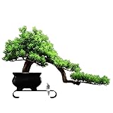 Simulation Topfpflanzen Bonsai-Baum Kreative Bürodekoration im...