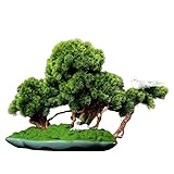 Simulation Topfpflanzen Bonsai-Baum Simulationsbaum, Simulation,...