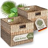 TERRAVIEN Aufbewahrungskorb 2er Set handgefertigt [für KALLAX Regal]...